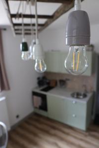 Kuchyň nebo kuchyňský kout v ubytování Apartmán MEZI DUBY