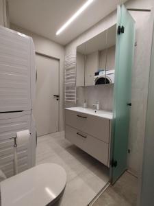 La salle de bains est pourvue de toilettes, d'un lavabo et d'un miroir. dans l'établissement Cozy Apartment Vilnius, à Vilnius