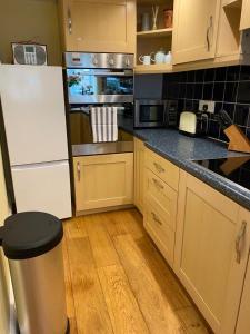 a kitchen with a white refrigerator and a trash can at Lemon Cottage in Hatherleigh