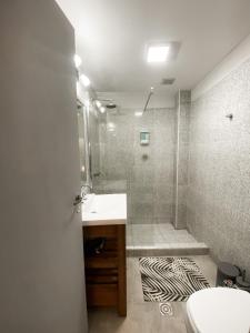 a bathroom with a sink and a shower at La Isabel in Esquel