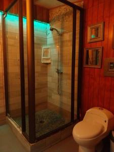 een badkamer met een douche, een toilet en een douche bij Arte Vitral Lodge - 4camas- aislada- terrazas -vista - piscina-sauna in Guayacán