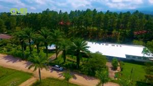 an aerial view of a building with palm trees at Hotel Estancia del Bosque Forest Guest House in Siguatepeque