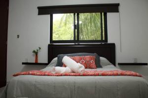 un animal de peluche en una cama con ventana en Hermoso departamento con una excelente ubicación, en Guadalajara
