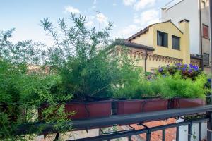 een tuin op een balkon met planten en een gebouw bij Giustiniani Apartments in Treviso