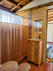 ein Bad mit einem WC, einem Waschbecken und einer Dusche in der Unterkunft LA MARQUESA PACORA in Pácora