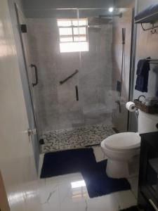 ein Bad mit einer Dusche und einem WC in der Unterkunft Williams Oasis in Falmouth