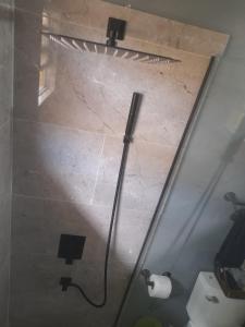 eine Dusche im Bad mit einer Rolle Toilettenpapier in der Unterkunft Williams Oasis in Falmouth