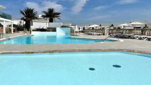 einen großen blauen Pool mit Stühlen und Palmen in der Unterkunft Caleta Dorada in Caleta de Fuste
