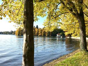 a house on the shore of a lake with trees at Ferienwohnung Im schönen Dorf - idyllische Lage mit Terrasse und Garten in Lindau-Bodolz