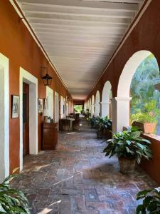 an empty hallway of a building with potted plants at Hacienda de Teresa in Itzamatitlán