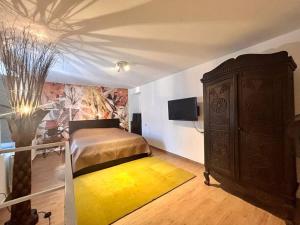 TV a/nebo společenská místnost v ubytování Petite Maison