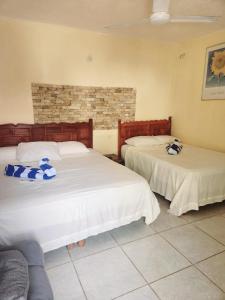 una camera con 2 letti con cuscini blu e bianchi di Posada Las Palmas a Coyuca