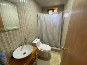 a bathroom with a toilet and a sink and a shower at Cabañas y Loft Entre Ríos y Lagos in Ranco