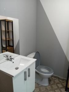 La salle de bains est pourvue de toilettes et d'un lavabo. dans l'établissement L'améthyste, à Le Tampon