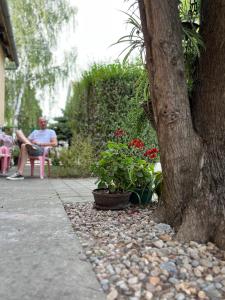 Taman di luar Bezdan Guesthouse