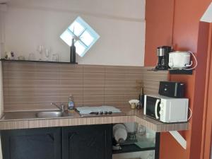 eine Küche mit einer Spüle und einer Mikrowelle in der Unterkunft L'améthyste in Le Tampon
