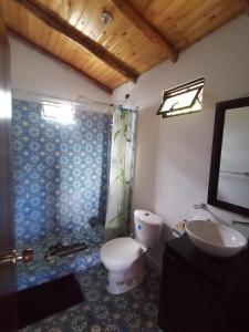 La salle de bains est pourvue de toilettes, d'un lavabo et d'un miroir. dans l'établissement Mountain Cabin - Nature and Relax, à Fúquene