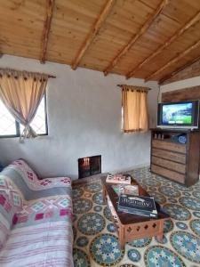 - un salon avec un canapé et une télévision dans l'établissement Mountain Cabin - Nature and Relax, à Fúquene