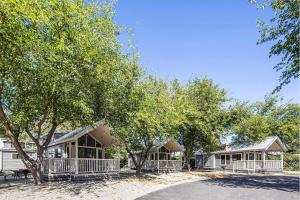 a group of houses with trees in front of them at Jellystone Park Tower Park Resort in Lodi