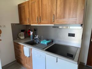 a small kitchen with a sink and wooden cabinets at LE GL'ASSIE in Saint-Gervais-les-Bains