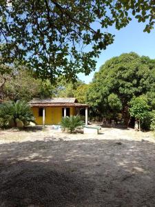 卡博迪聖阿戈斯蒂尼奧的住宿－EcoCamp TV Cristã Web，一座黄色的建筑,在一座有树木的院子前