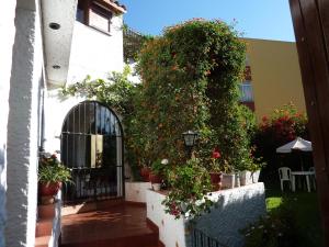 einen Eingang zu einem Gebäude mit Topfpflanzen und einem Tor in der Unterkunft Hotel La Casa de Tin tin in Arequipa