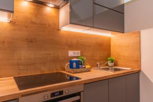 Kuchyň nebo kuchyňský kout v ubytování Apartmány KRAKENS