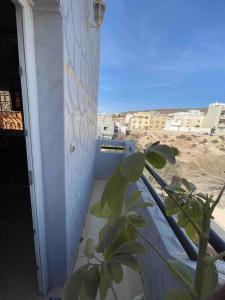 uma planta numa varanda com vista para o deserto em Apartment Oufella em Tamraght Ouzdar