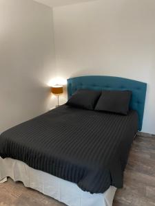 トゥールーズにあるRoom in Toulouse - T2 proche Hopital Toulouse Purpanのベッドルーム1室(青いヘッドボード付)