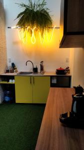 una cocina con una barra con una planta colgando de ella en Nueva Propiedad-Hermoso Duplex Disponible, en Santa Cruz de la Sierra
