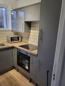 a kitchen with a stove and a microwave at The Sydenham Snug in Forest Hill