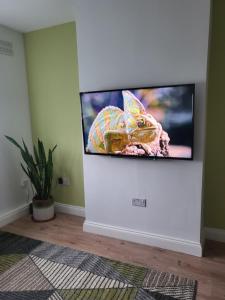 telewizor z płaskim ekranem na ścianie w pokoju w obiekcie The Sydenham Snug w mieście Forest Hill