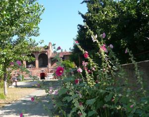 Zahrada ubytování Agriturismo Olivazzi