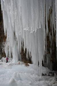 Wohnung Rheintal im Alpenvorland during the winter
