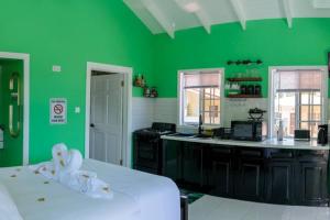 Grünes Zimmer mit einem Bett und einer Küche in der Unterkunft Maggie's Inn in Soufrière