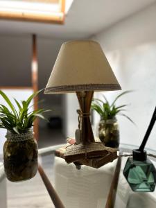a lamp sitting on a table with two potted plants at Classense House in Classe