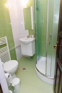 a bathroom with a shower and a toilet and a sink at Casa Iager - Vama Buzaului 