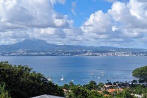 a view of a large body of water with boats at Cocon de charme avec spa, proche de la plage in Les Trois-Îlets