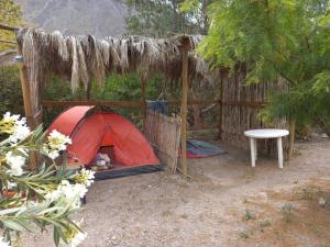 Zahrada ubytování Astro Camping Elqui Experience