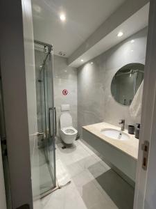 普里什蒂納的住宿－New Prishtina Luxury Rooms，浴室配有卫生间、盥洗盆和淋浴。