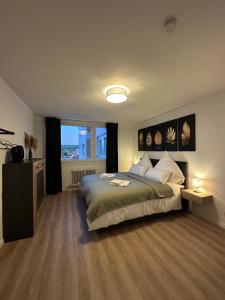 a bedroom with a large bed and a window at Stylish Apartment Balcony 2 BR Central in Kaiserslautern
