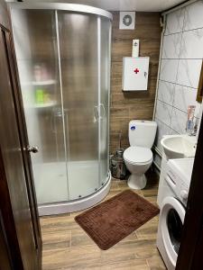uma casa de banho com um chuveiro, um WC e um lavatório. em LINDEN GROVE em Vygoda