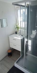 a bathroom with a glass shower and a sink at Le p’tit Kerf proche Centre Ville in Quimper