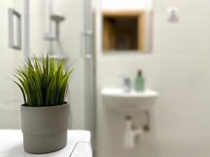 a potted plant sitting on a counter in a bathroom at MMRent Desert Room in Gdańsk +7 photos