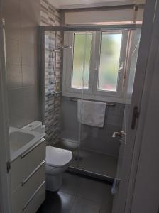 a bathroom with a toilet and a shower and a sink at Apartamento Albejo in Laredo