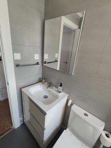 W łazience znajduje się umywalka, toaleta i lustro. w obiekcie Apartamento Albejo w mieście Laredo