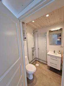 Sjarmerende anneks i Sigerfjord, Vesterålen في سورتلاند: حمام صغير مع مرحاض ومغسلة
