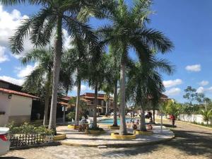 un groupe de palmiers à côté d'une piscine dans l'établissement Chalé em Barreirinhas - MA, à Barreirinhas