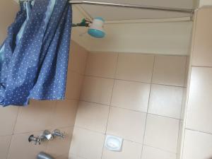 a bathroom with a shower with a blue shower curtain at Furnished studio apartment- Ngara in Nairobi
