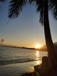 una spiaggia con una palma e il tramonto di Casa de Praia PÉ NA AREIA em Rio das Ostras RJ a Rio das Ostras